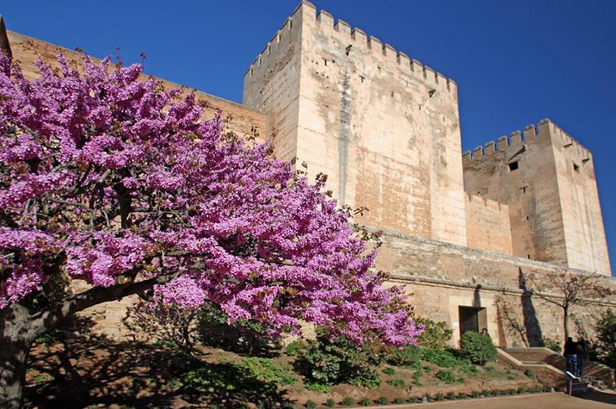 Imágen de la Alcazaba de la Alhambra, fotogalería Lab.RtvE.es