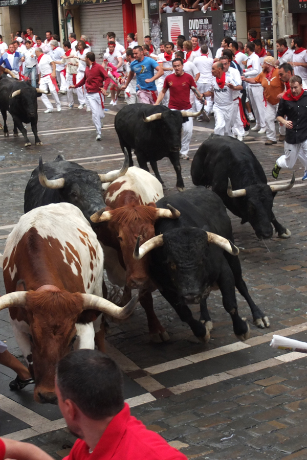 Picture taken on 7th July during the bull run.