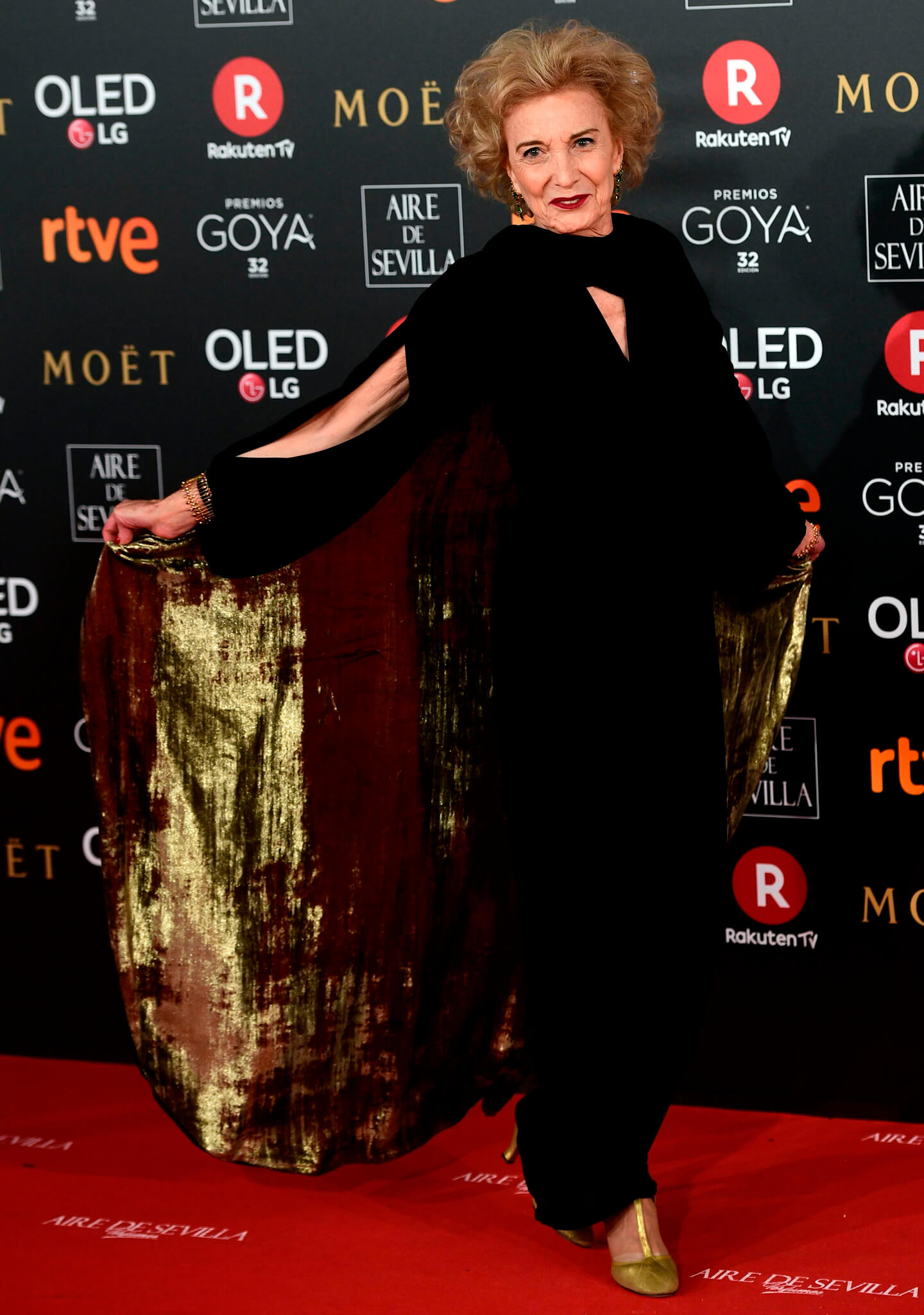 La actriz Marisa Paredes, galardonada con el Goya de Honor